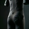 Visionbody Ultimate Wireless EMS-EMA Fast-Track Muscle System